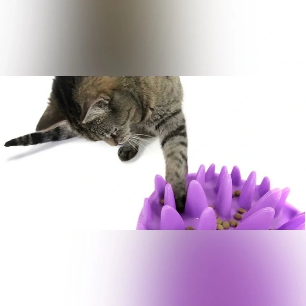 NORTHMATE Catch Interactive Dog & Cat Feeder, NWT
